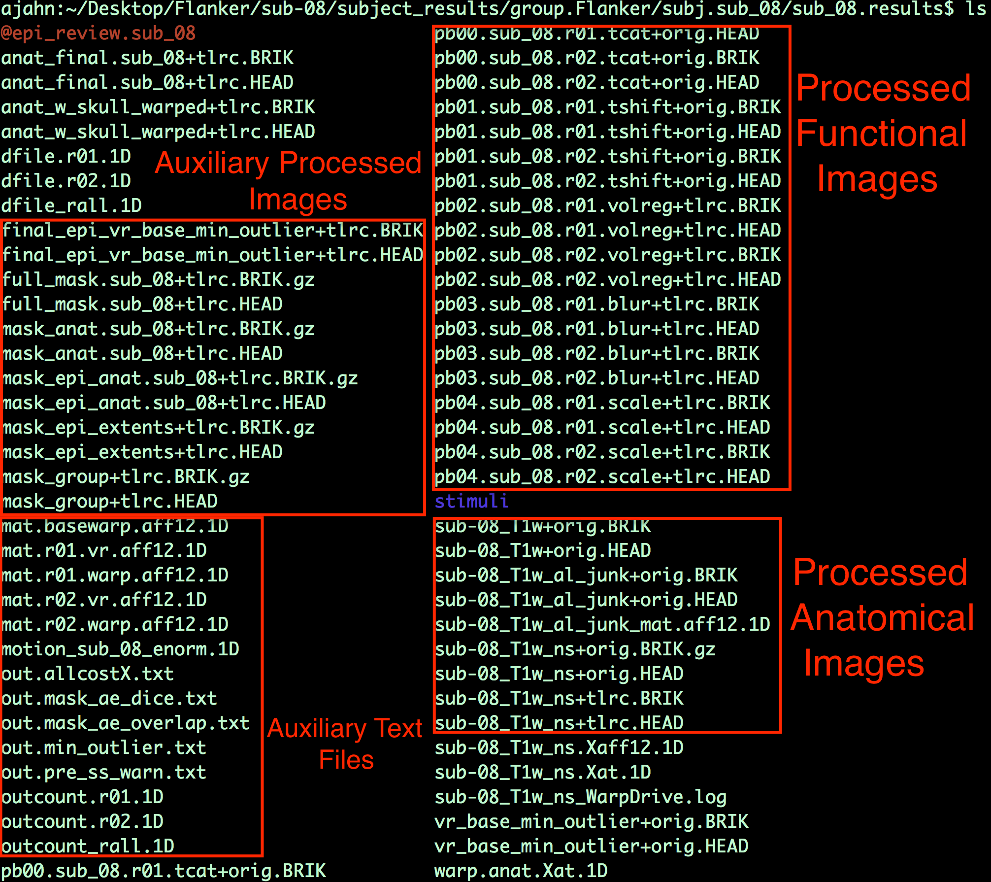 ../../../_images/04_07_Preprocessing_Directory.png